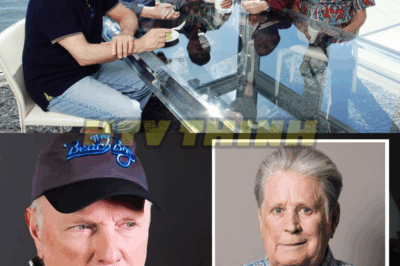 At 84, Mike Love Finally Breaks Silence On Brian Wilson’s Death