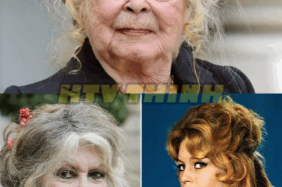 Why They Had to SILENCE Brigitte Bardot (Truth Revealed)