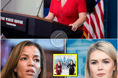 𝐟𝐮𝐥𝐥 𝐬𝐭𝐞𝐚𝐦 𝐚𝐡𝐞𝐚𝐝… ⚖️🚨