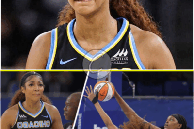 𝒯𝒽𝒾𝓈 𝒾𝓈 𝓇ℴ𝒸𝓀 𝒷ℴ𝓉𝓉ℴ𝓂. 🏀