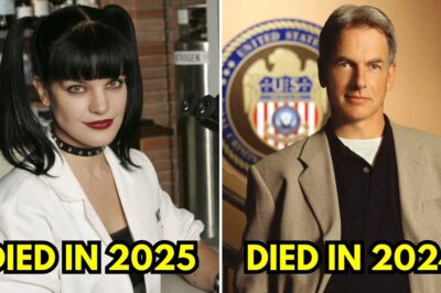 All NCIS Actors Who Tragically Passed Away
