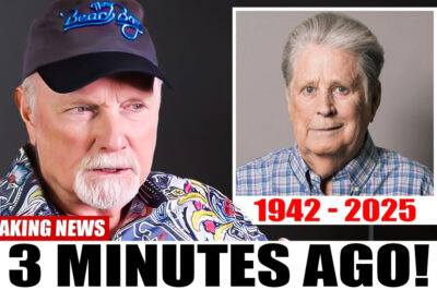At 84, Mike Love Finally Breaks Silence On Brian Wilson’s Death