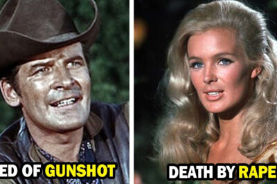 15 Beloved The Big Valley Actors Who Tragically Passed Away
