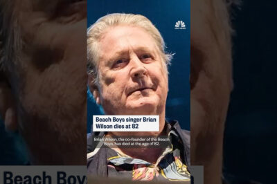 Beach Boys singer Brian Wilson dies at 82