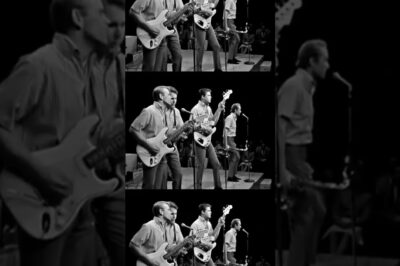Brian’s laugh during this performance of “Shut Down” is our favorite thing