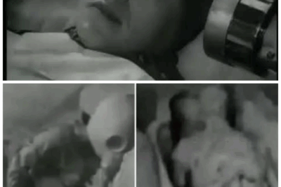 🚨 ALIEN DISCOVERED IN EGYPT! The deadly secret that the KGB hid for 60 years finally revealed 📼👽