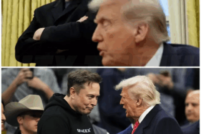 🌈 – Trump KICKS ELON OUT after the MASSIVE LOSS