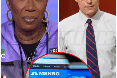🌈 – MSNBC’s month of chaos