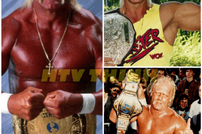 🌈 – The story of WWE legend Hogan Hulk: hard-work, dedication, difficulties and a spirit of keep moving forward.