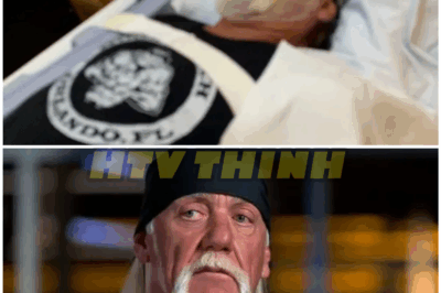 🌈 – Wrestling legend Hulk Hogan dies at 71, cause of death revealed