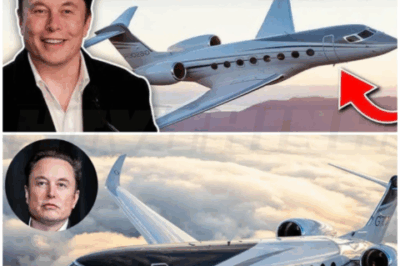 🌈 – The Billionaire’s Wingspan: Musk’s G700 Redefines Private Travel.
