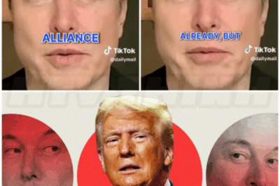 🌈 – Elon Musk PUBLICLY Turns On TRUMP After Losing $100 BILLION.
