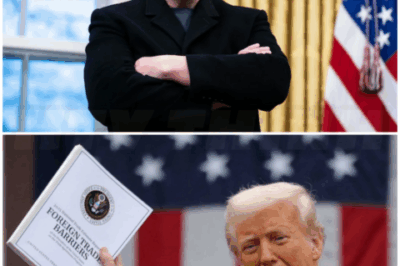 ♌ – Musk made direct appeals to Trump