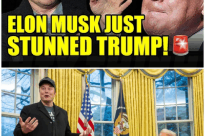 ♌ – Elon Musk Just Rocked Donald Trump