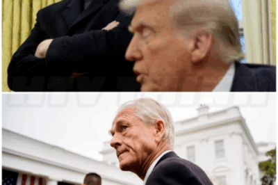 ♌ – ‘Truly a moron’: Elon Musk escalates spat with Trump adviser Peter Navarro.