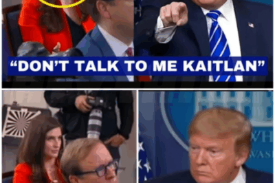 ♌ – Whole Room Erupts In Laughter When Trump Said This To The Face of Kaitlan Collins.