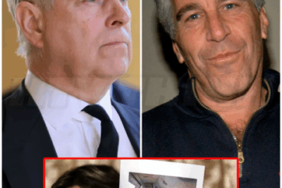 🌈 – Prince Andrew’s Jeffrey Epstein link has disgraced duke ‘petrified’ to step foot on US soil