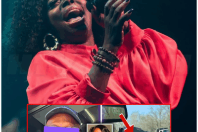 🌈 – Truck Drivers In Angie Stone Accident EXPOSES All: Did She Not D*e In Van?