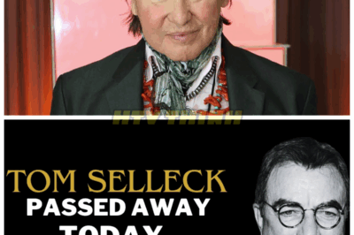 Tragedy Strikes Hollywood: 3 Famous American Stars Die Today — The Shocking Details You Need to Know Now 😱🎬⚰️ The entertainment industry is in shock as three prominent figures suddenly passed away. Uncover the circumstances surrounding their deaths and how fans are reacting worldwide. 👇