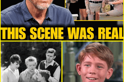 Ron Howards Finally Reveals What Most Fans NEVER Figured Out About The Andy Griffith Show
