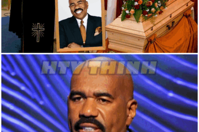 We are very sad to announce the tragic accident of Steve Harvey, goodbye Steve Harvey – HTT