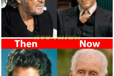👑30 Iconic Celebrities from the ‘70s, ‘80s & ‘90s – Some Look Amazing, Others…Not So Much 😬📸You grew up with them on posters and screens—but their transformations will leave your jaw on the floor, especially number 12 and 24—they’re totally unrecognizable👇