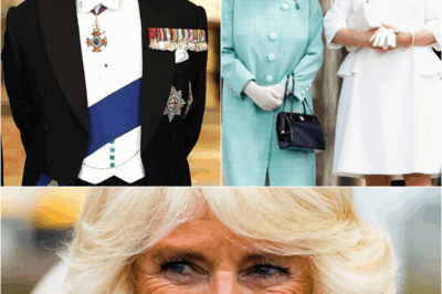 👑💔 Here’s What Will Happen to Queen Camilla If King Charles Dies First – The Royal Future Revealed! 😱🔥