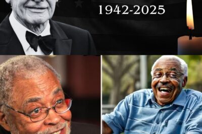 America Mourns as 3 Icons Die on the Same Day – The Alarming Pattern Behind Their Sudden Departures. His ability to weave humor with poignant themes made his characters relatable and unforgettable.