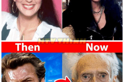 🎬 These Stars Were Once the Definition of Beauty – You Won’t Recognize Them After Seeing What They Look Like Now! 😨 Aging, fame, and life’s pressure changed them in ways fans never expected. Wait until you see who looks COMPLETELY different today! 👇