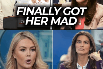 🧨 “CNN, the White House, and the Obama Files: Karoline Leavitt’s On-Air Clash with Kaitlan Collins Sparks Shockwaves Over Tulsi Gabbard’s Explosive Claims 🎙️👀”