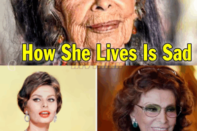 Sophia Loren Is Now Almost 90 How She Lives Is Sad