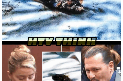 Amber Heard Addresses Poop in the Bed Story