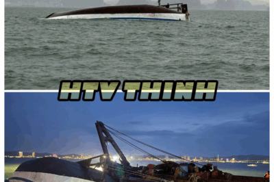 At least 38 dead after tourist boat capsizes in Ha Long Bay in Vietnam