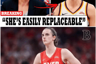 🚨FEVER PRESIDENT DESTROYED by Instant Karma After SHOCKING Caitlin Clark INSULTS—You Won’t Believe What Happened Next!😱
