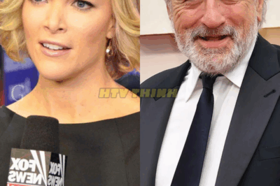 Robert De Niro Drops 8 Cold Words That Shatter Megyn Kelly On Live TV