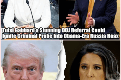 “She Just Blew the Lid Off Everything”—Tulsi Gabbard’s Stunning DOJ Referral Could Ignite Criminal Probe Into Obama-Era Russia Hoax