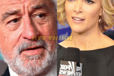“I Don’t Care What You Think of Me.” Robert De Niro Drops 8 Cold Words That Shatter Megyn Kelly On Live TV — And America Can’t Stop Rewatching It