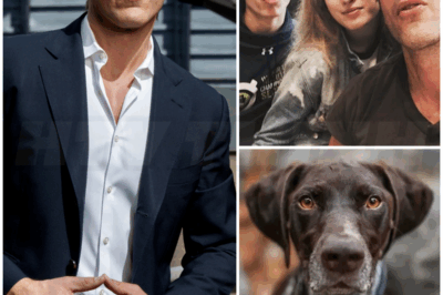 🌈 – Meet David Muir’s family — inside his life away from the spotlight