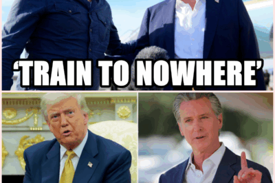 Trump Pulls Plug on California’s \$135 Billion Bullet Train, Calls It a ‘Train to Nowhere’