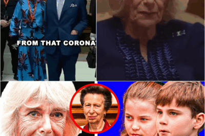 🚨 Queen Camilla’s Final Sentence: A Heartbreaking Goodbye Forever That Shakes the Royals! 👑💔