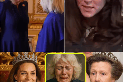 👑💎 Princess Anne Warns Camilla About Catherine’s Legendary Jewels Inherited From The Queen – Royal Secrets Revealed! 😲🔥