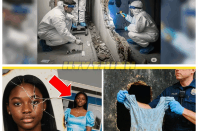 She Vanished Before Her Prom Night — Two Decades Later, Her Dress Was Found Hidden Inside a Motel Wall During Demolition 😱👗🏚️ For 20 years, her disappearance haunted the town. Then, as an old motel was being torn down, workers found something terrifying — a sealed wall, a rotting suitcase, and her prom dress. The truth that followed changed everything. 👇