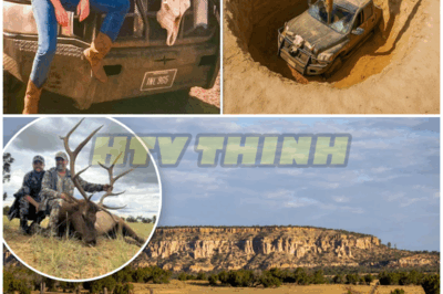 Female Rancher Vanished Moving Cattle, 9 Years Later Oil Drill Strikes Metal in Desert… – HTT
