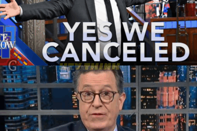 The Gloves Are Off | “I Absolutely Love That Colbert Got Fired”