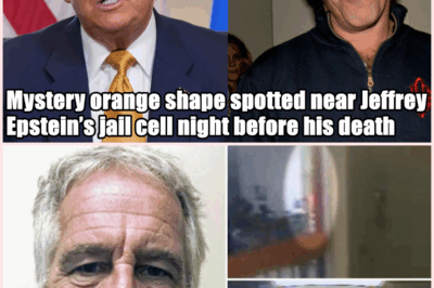 Mysterious Orange Figure Spotted Outside Jeffrey Epstein’s Cell the Night Before His Death Sparks New Wave of Questions, Doubts, and Theories