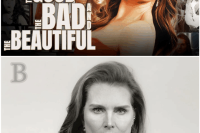 💔 After Years of Silence, Brooke Shields Breaks Down the DARK Secret That Haunted Her Career…