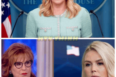 . JOY’S MELTDOWN ON THE VIEW! Karoline FLIPS THE SCRIPT and Leaves Co-Host Speechless 😮‍💨 What started as a smug takedown ended in stunned silence—Joy Behar tried to corner Karoline Leavitt, but the young conservative came armed with facts, fire, and fury. The moment Joy realized she was outmatched? You could hear a pin drop.👇