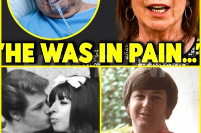 After His Death, Brian Wilson’s Ex-Wife Breaks Her Silence