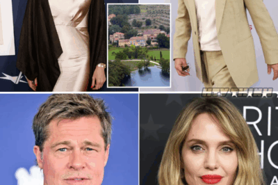 Brad Pitt Demands Angelina Jolie’s Private Messages in Escalating Battle Over French Winery Sale
