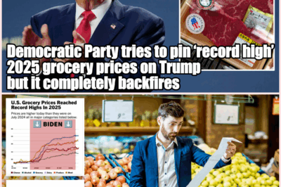 They Tried to Blame Republicans for Grocery Prices — But One Tiny Detail Ruined Everything